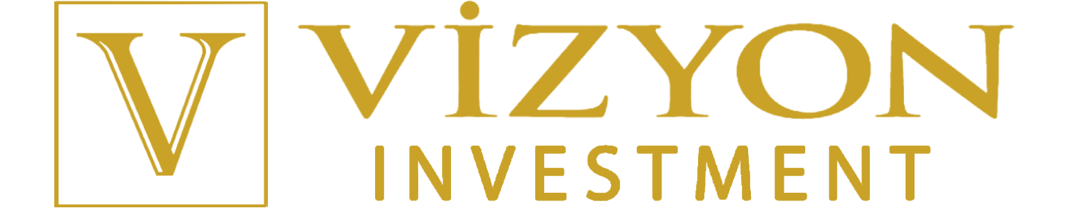 Vizyon Investment